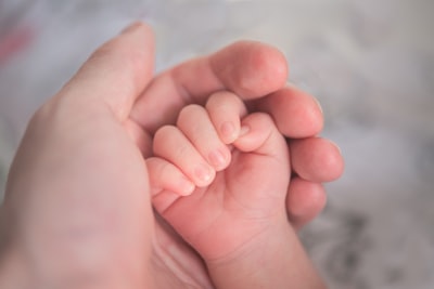Main d'adulte tenant une main de bébé